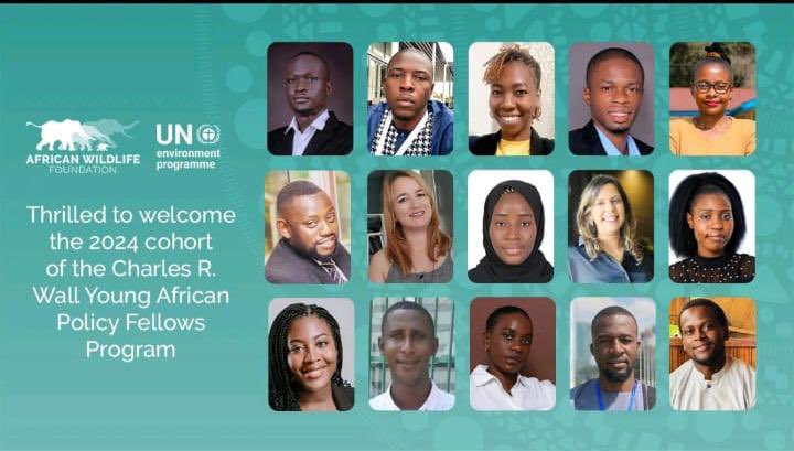 We are delighted to unveil the 2024 Charles R. Wall Young African Policy Fellows programme. An initiative in partnership with the @AWF_official selected from more than 2000 applications. 🎉Congratulations to the 2024 cohort!