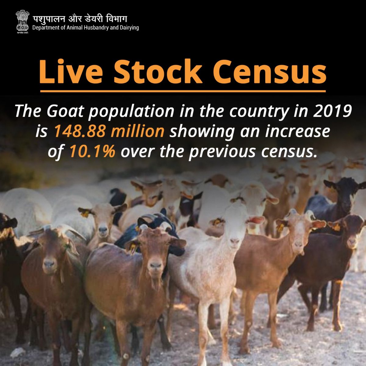 Livestock Census Update: The goat population in the country reached 148.88 million in 2019, reflecting a notable increase of 10.1% over the previous census. #LivestockCensus #GoatPopulation