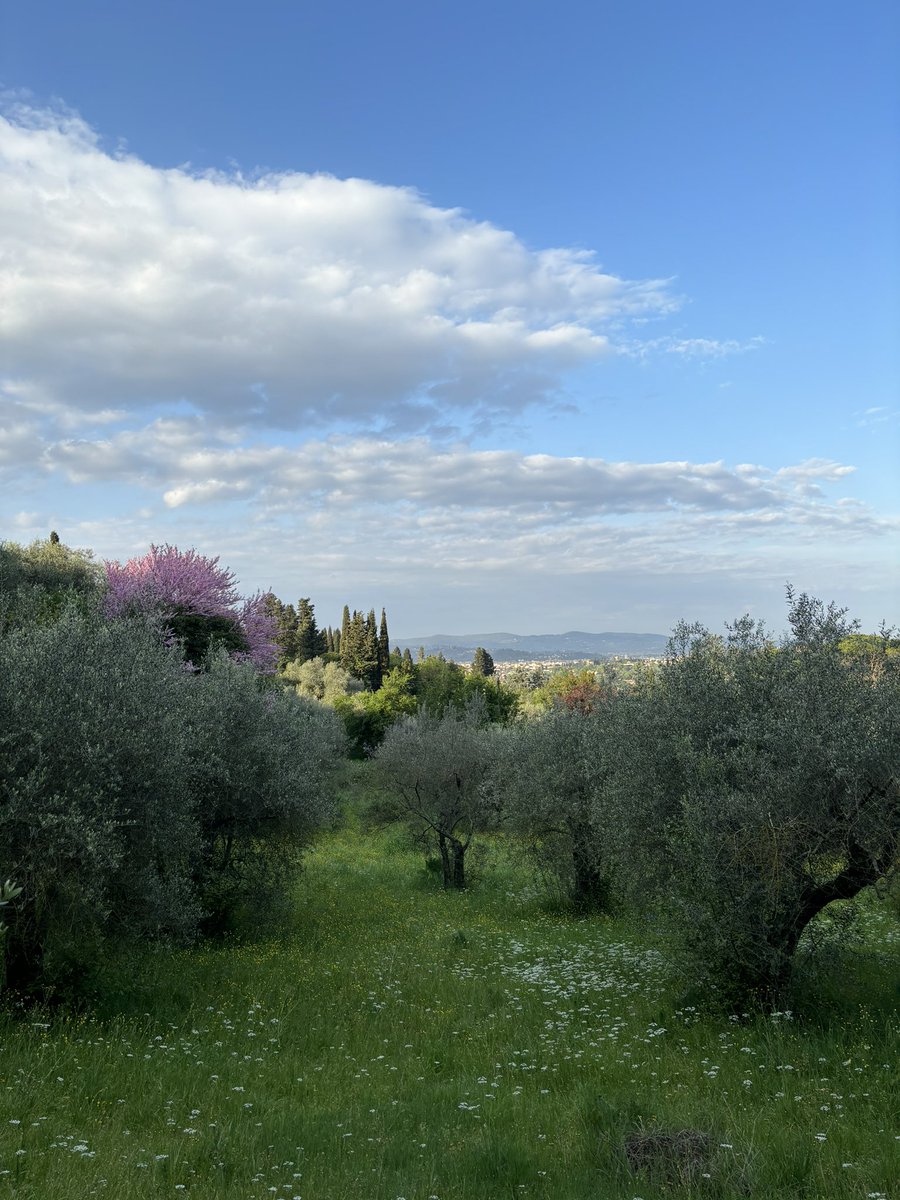 Iva Nenadic (@ivalitre) on Twitter photo The call for applications for <a href="/EUI_CMPF/">Centre for Media Pluralism and Media Freedom</a> 2024 Summer School for Journalists and Media Practitioners 8-12 July in Florence is out! How is #ArtificialIntelligence reshaping #journalism? 37 #scholarships available to participants from #Europe #Africa, #Asia #Pacific #LatinAmerica👇🏽 The call for applications for <a href="/EUI_CMPF/">Centre for Media Pluralism and Media Freedom</a> 2024 Summer School for Journalists and Media Practitioners 8-12 July in Florence is out! How is #ArtificialIntelligence reshaping #journalism? 37 #scholarships available to participants from #Europe #Africa, #Asia #Pacific #LatinAmerica👇🏽