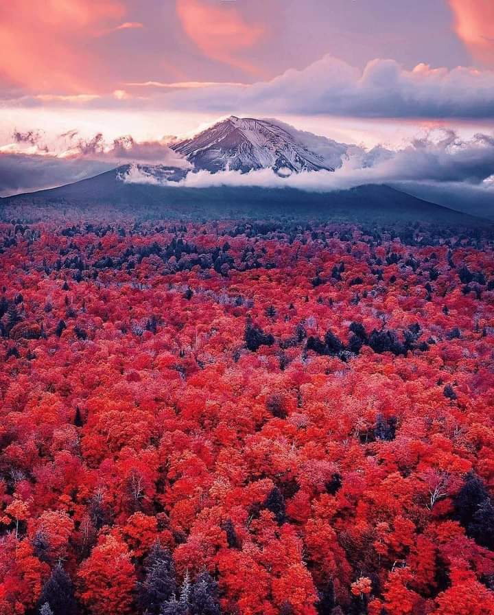 Amazing view of Mount Fuji, Japan