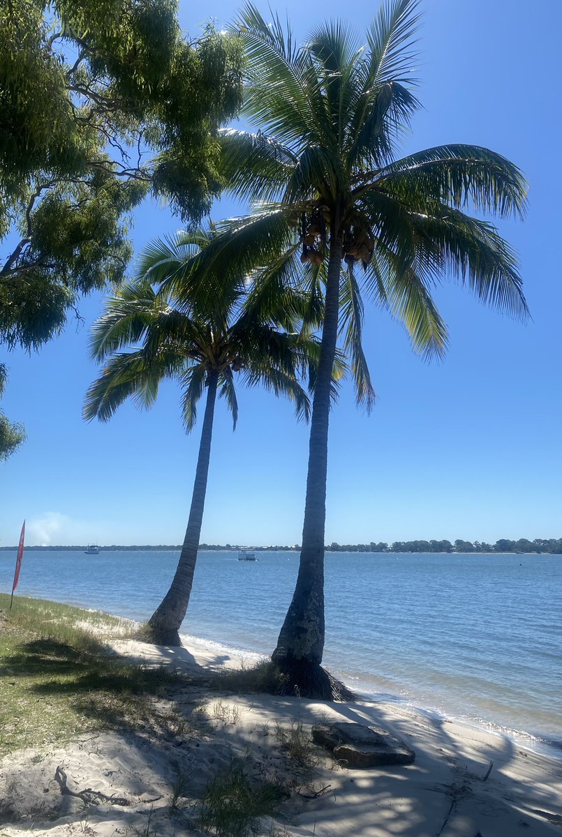 On our walk yesterday. 🌴 Now that looks like paradise, doesn’t it?