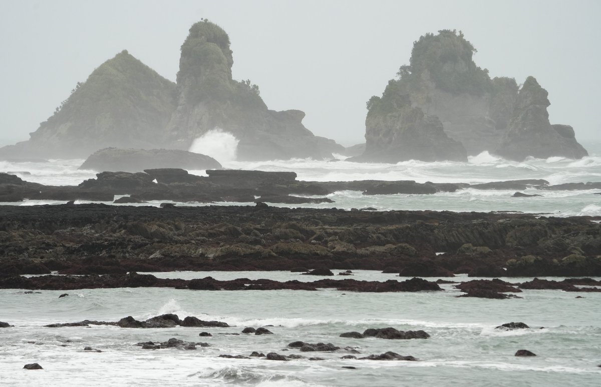 🇳🇿 New Zealand #23 - Between Greymouth and Punakaiki