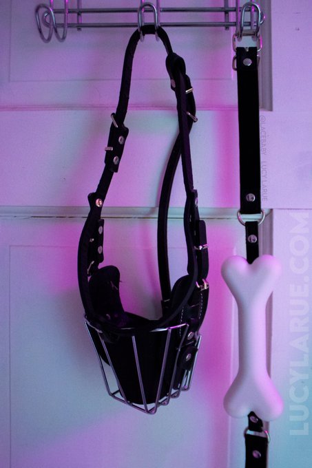 "Work gear" https://t.co/2ogwzDphJX