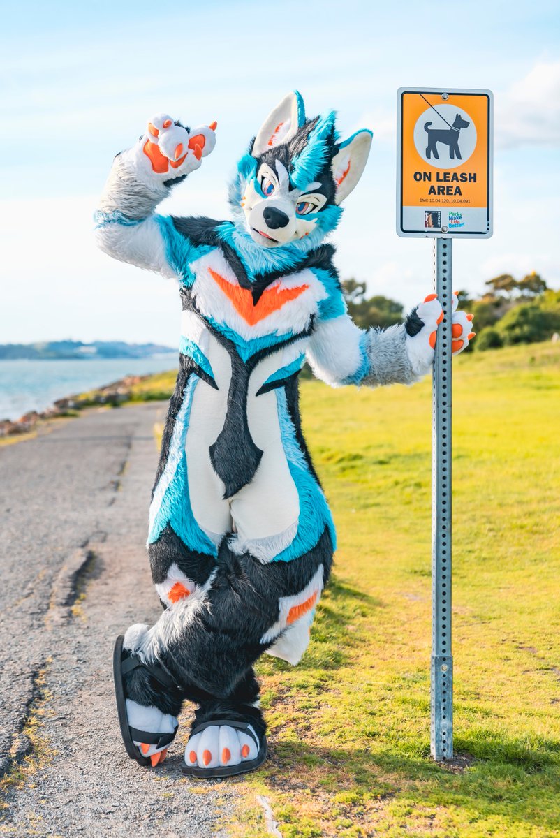 🚫rules are meant to be broken🚫 🪡@kigurumikagetsu 📷@ChatahSpots #FursuitFriday