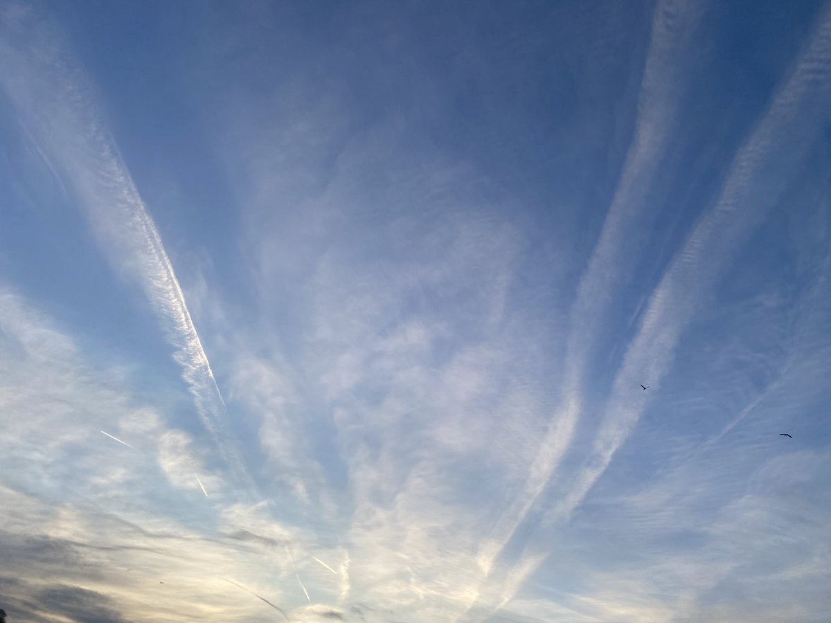 We did have blue sky!! Makes me so angry 

#chemtrail #GeoEngineering