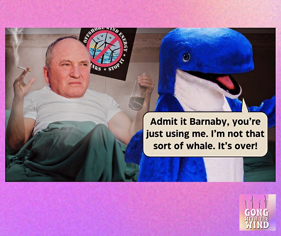 ‘I’m not that sort of whale, Barnaby.’

@Barnaby_Joyce #climateaction #offshorewind #scarecampaign