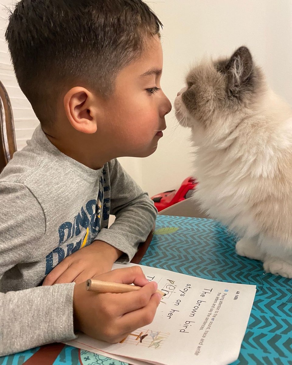 Who supports you when doing your Kumon assignments? #supportnetwork #cat #housecat #supportyourchildslearning #bahraincats #KumoninBahrain #afterschoolmaths #afterschoolenglish #maths #english #younglearners #kumon #كيومن #numeracy #literacy #earlylearners #younglearners #kids