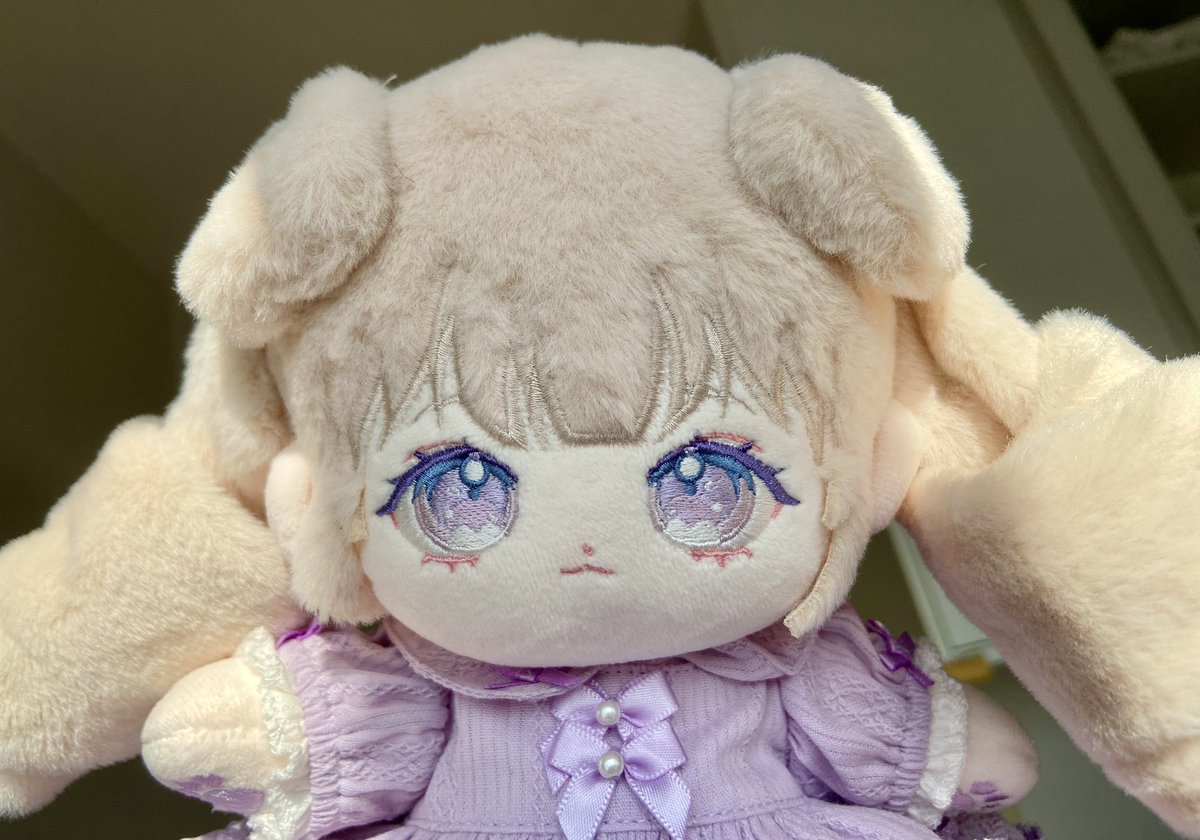 わいのぬいちゃんが届いたのじゃ