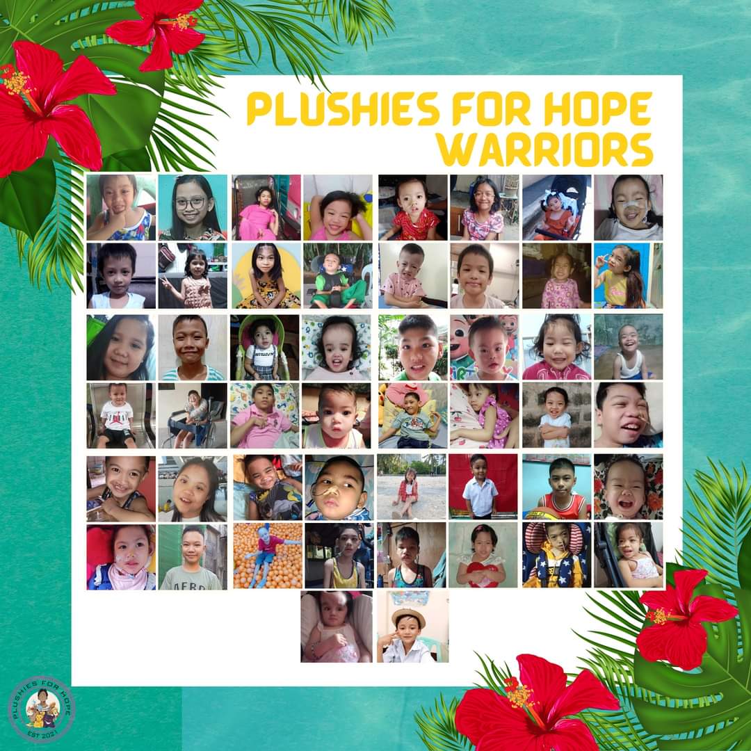 Plushies For Hope | Volunteer Group tweet media