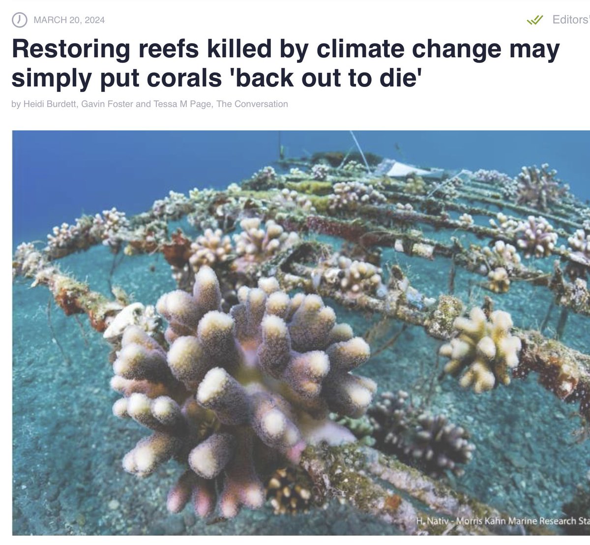 Memo to journalists trying to spin a good-news study: Coral restoration fails if you don’t first address the causes of environmental decline. cell.com/one-earth/pdf/…