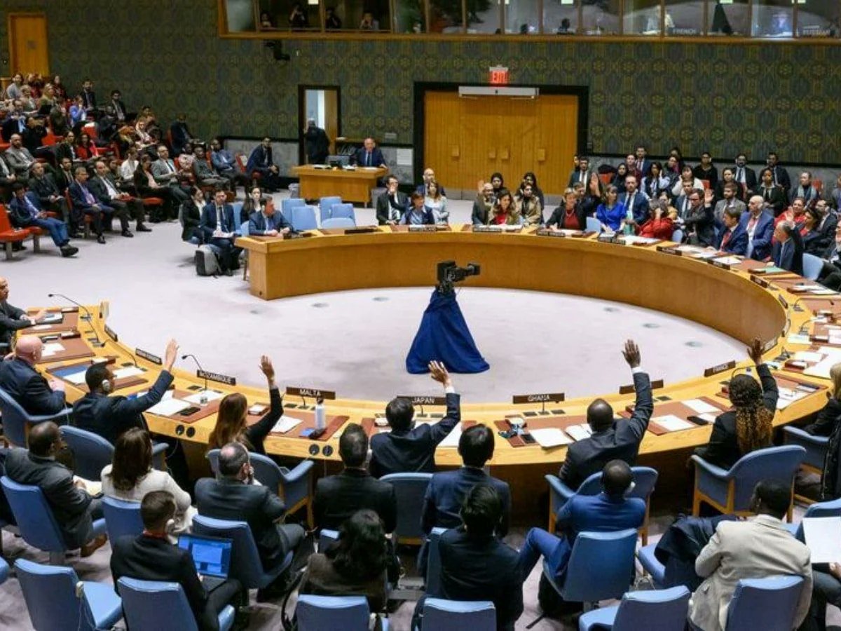 Le Conseil de sécurité de l'ONU divisé sur la candidature de la Palestine à l'adhésion en tant qu'État 
#Conseildesécurité #ONU #Palestine
Lire l'article 👉 camerounactuel.com/?p=247597