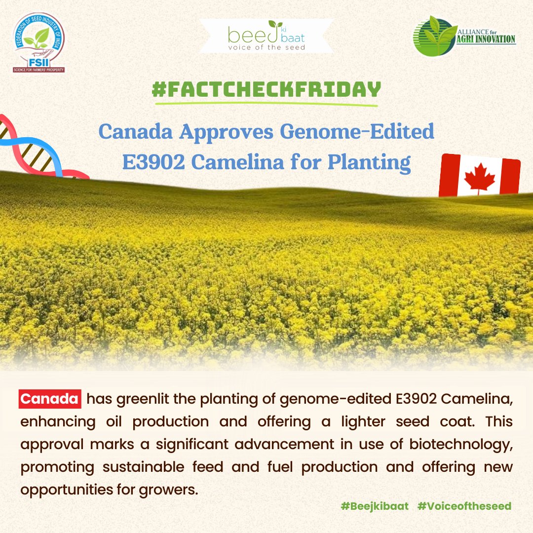 Revolutionizing agriculture, Canada's nod to E3902 Camelina paves the way for enhanced oil production and sustainable farming practices.

#agriculture #crops #technology #biotechnology #farming #farmers #biotech #agritech #beejkibaat #voiceoftheseed #fsii #aai #factcheckfriday