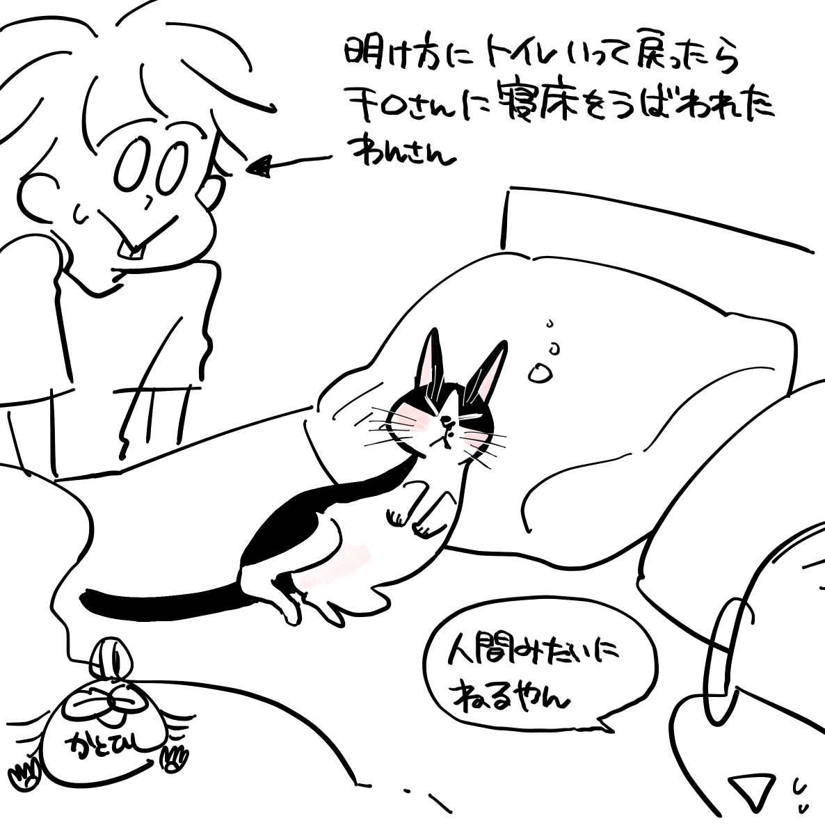 布団の中に一緒に入って寝てくれるタイプの猫ちゃんで嬉しい…あーちゃんもそうだったから、一緒に寝てくれるの嬉しい🧡(暑いときは布団の上で寝ます)

#チロルさん絵日記 #らっしゃいチロルさん 