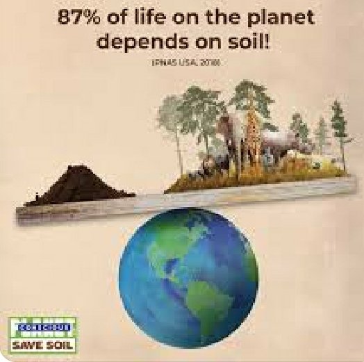 Wow! It's great. #savesoil #SaveSoilForClimateAction #ConsciousPlanet