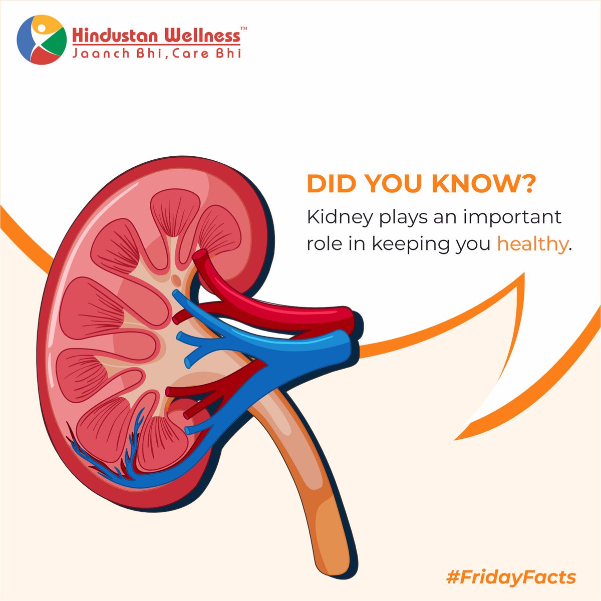 Did you know?

#didyouknow #kidneyhealth #kidneys #healthylifestyle #healthylife #healthcare #healthy #healthandwellness #healthiswealth #healthyliving #jaanchbhicarebhi #HindustanWellness