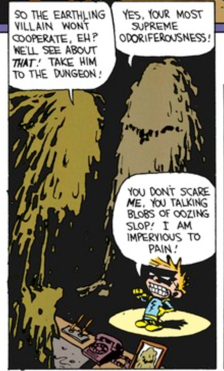 #CalvinAndHobbes