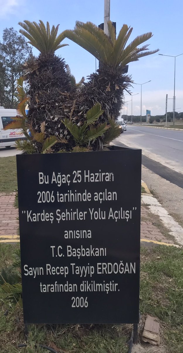 18 senedir CB’nin #Antalya’da dikmiş olduğu bir #palmiye hiç mi büyümez?