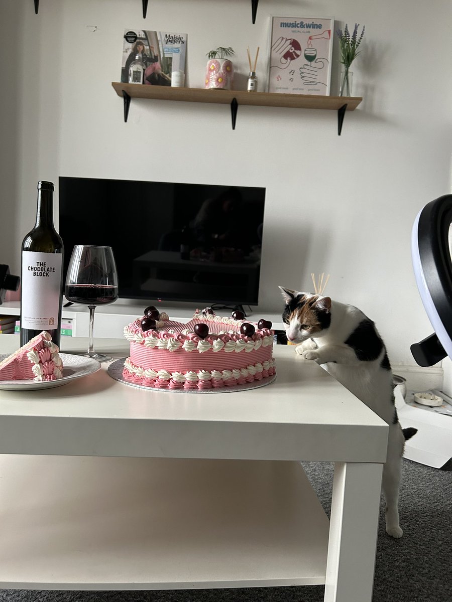 behind the scenes of filming some cake content - not sure who’s more excited… me or Betty? 😅🐱 #ugc #ugccreator #contentcreator #ukugc #ugcuk #ugccommunity #socialmediamarketing