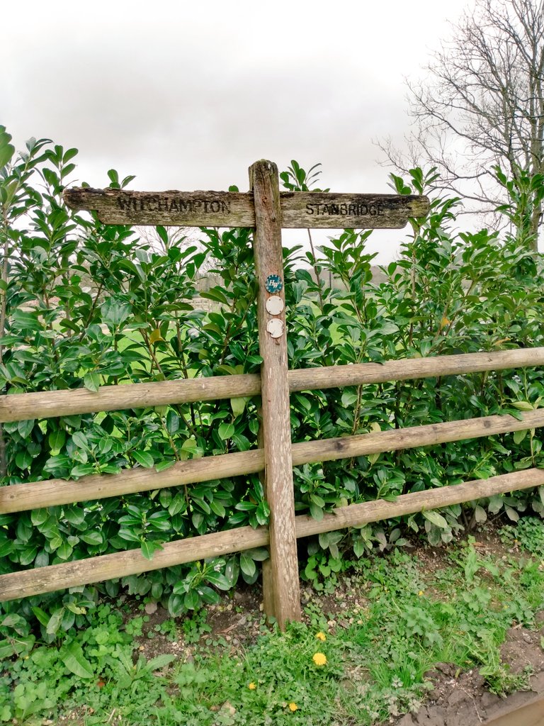 Hardy Way between Witchampton and Stanbridge. #Dorset #FingerpostFriday @FingerpostFri