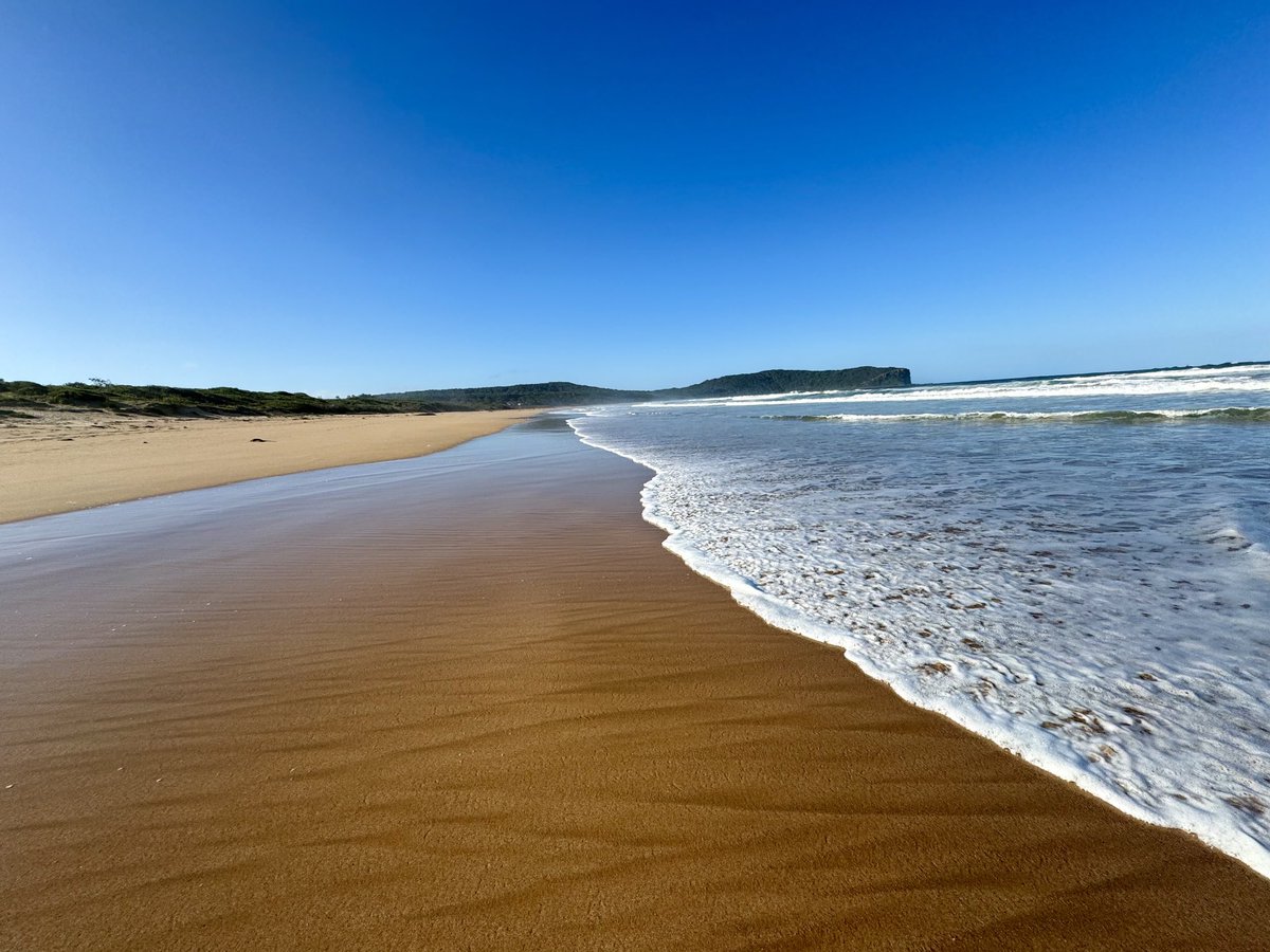 5ks of uninhabited beach 🌴 
#nswsouthcoast 💦 
#home 🐳