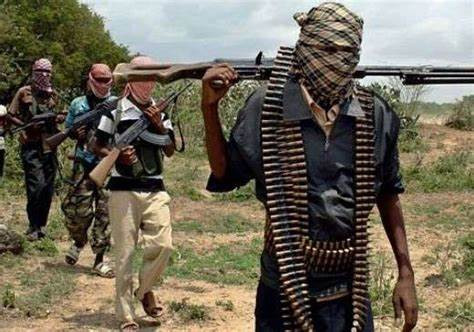 Several of bandit killed as  clashes broke out in Rugu forest By: Zagazola Makama  Several  bandits have been reportedly killed as a result of a heavy fight between two rival groups around RUGU forest in Safana Local Government on the evening of Thursday April 11, 2024 at about…