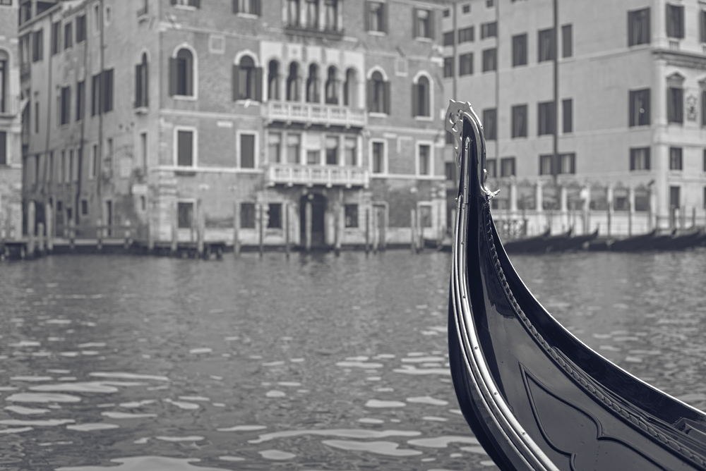 Poised for Departure

#venezia #venice #italia