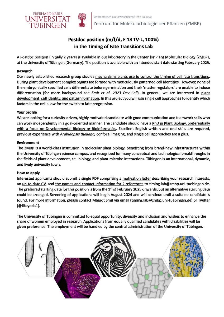 We are looking for a postdoctoral researcher to join our lab @ZMBP_Tuebingen . If you're interested in plant development and cell fate regulation please apply! Please RT 📢 Check out our website for info about our research 🌱⏱️: tinyurl.com/fkf2wukn