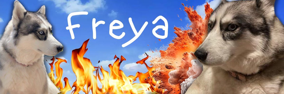 Freyadogsol's tweet photo. @yelotree WE LOVE $SHORK.  But we also LOVE $Freya!  Your dog just made it to Raydium.  
https://t.co/AOspL3vP5h https://t.co/KEvxteMEoU