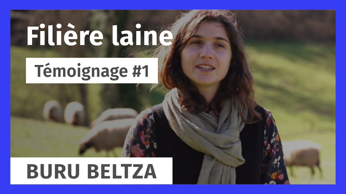 🧶 Filière laine 🐑 Découvrez le témoignage de Léa PITZINI, animatrice pour Buru Beltza. 👉 Dans le cadre du dispositif FACT, la CCI Bayonne Pays Basque a interrogé 6 entreprises représentatives de la filière laine. youtube.com/watch?v=dC_0dV…