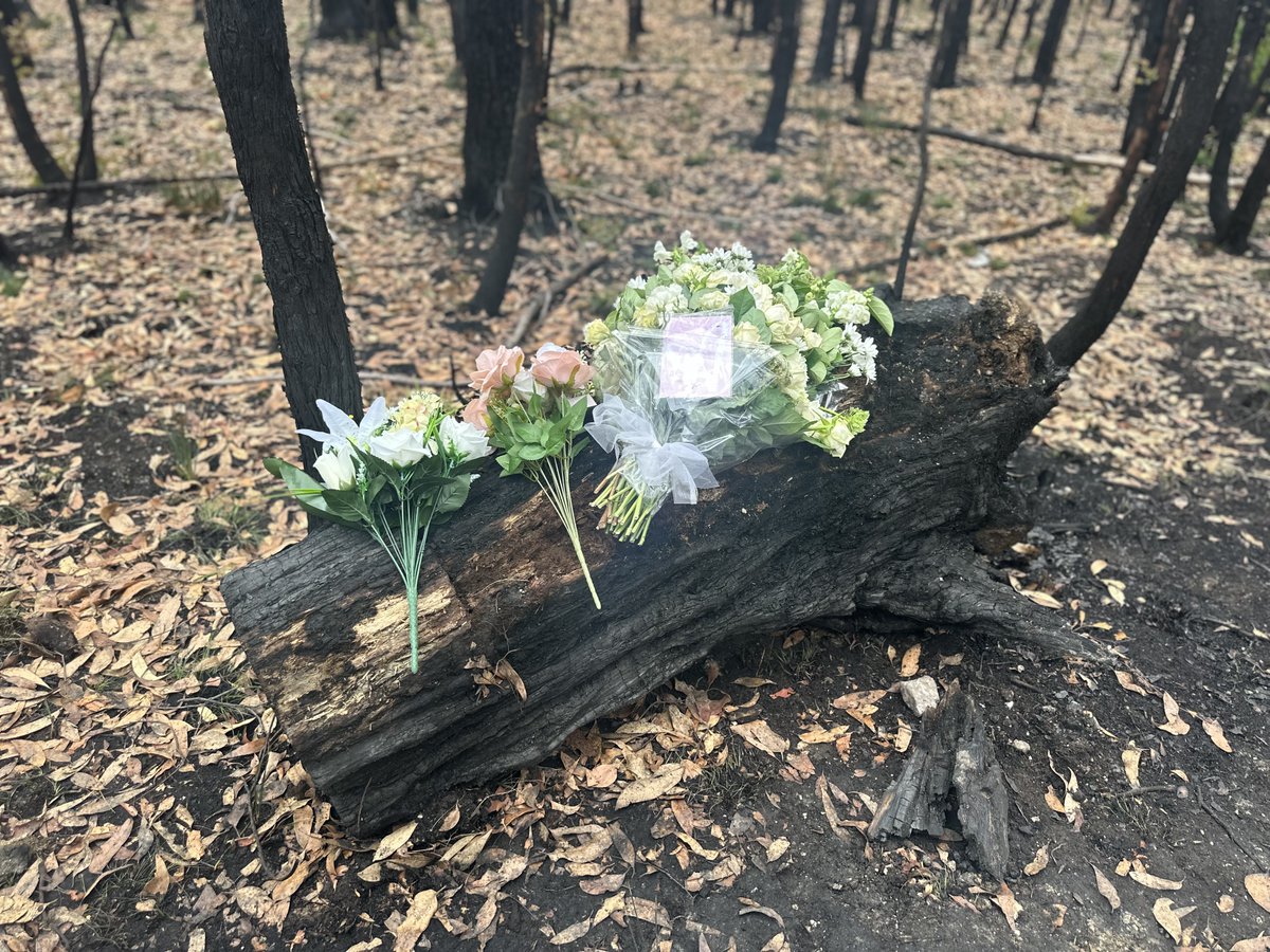 A rally remembering Rebecca Young, Samantha Murphy and Hannah McGuire will be held in Ballarat tonight. Organisers say women 'deserve to feel safe in their city'.