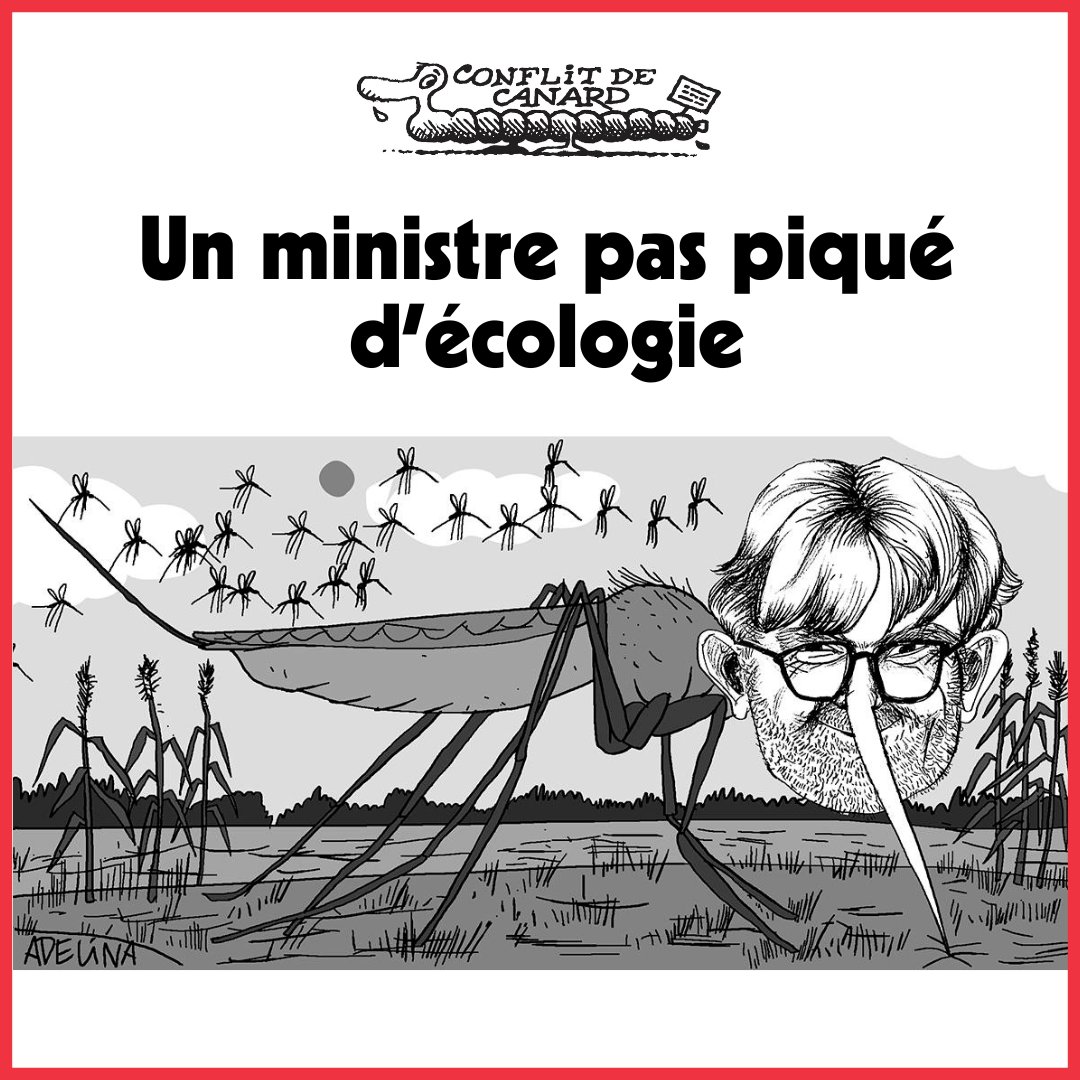 Depuis que la FNSEA a levé les fourches contre les normes environnementales, Marc Fesneau, le ministre de l’Agriculture, n’arrête pas d’autoriser de nouvelles doses de pesticides ravageurs pour la nature.

➡️ lecanardenchaine.fr