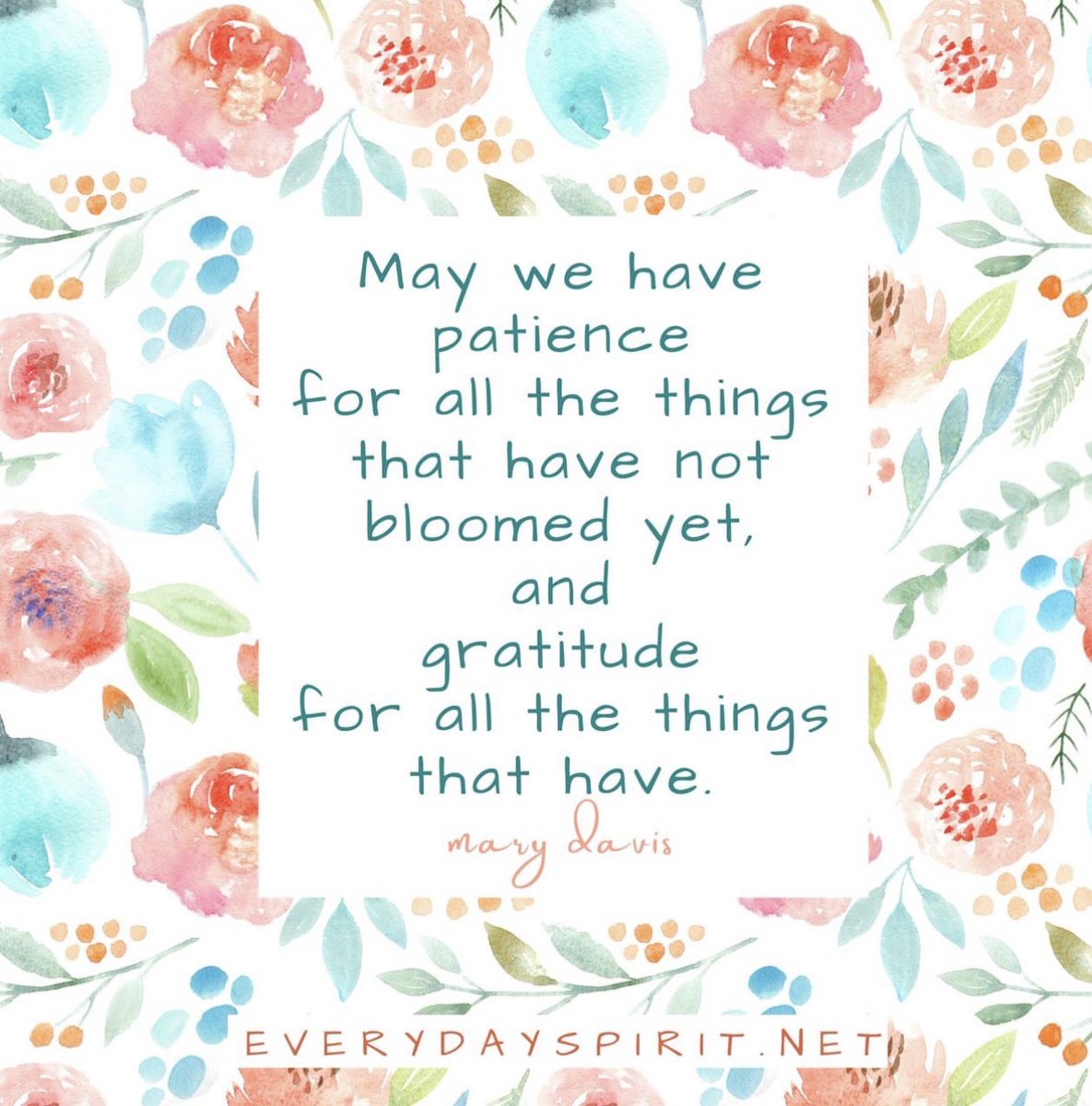 May we have patience for all the things that have not bloomed yet and gratitude for all the things that have 🩵 #GratefulHeart