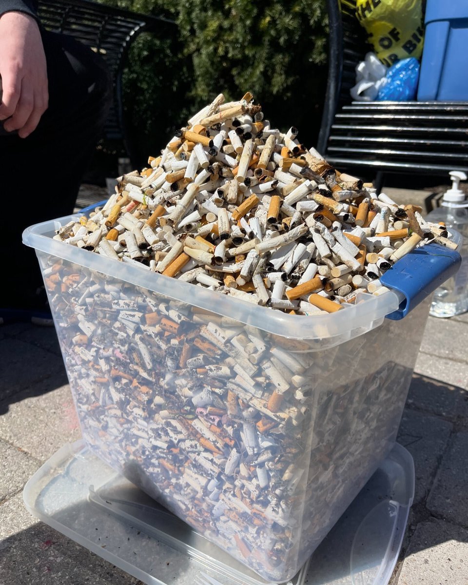 *From Canada* 🇨🇦🇨🇦 Can you believe my sons girlfriend and team picked up 18,375 cigarette butts in 5 hours on Sunday! 🤯 If you’re in Brantford Ontario, the next Butt Blitz clean up is this Saturday 1pm at the Wayne Gretzky Centre. They would love you to join them.