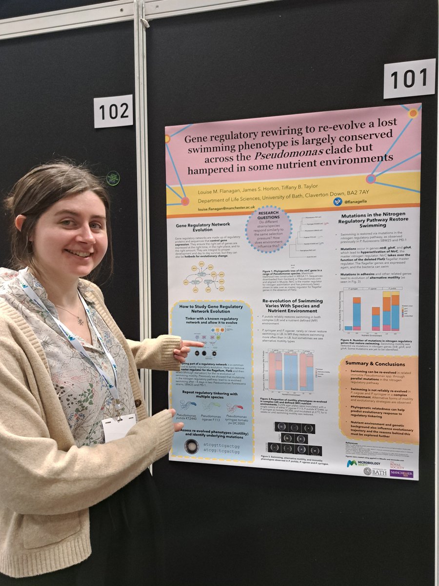 Thanks to @MicrobioSoc for a brilliant conference in Edinburgh this week for #microbio24! Was great hearing so much cool research, catching up with the old Bath crew, new & old friends, and the new team at Manchester @TaoranF @willpjsmith @Waqar_Ahmed88! 🦠