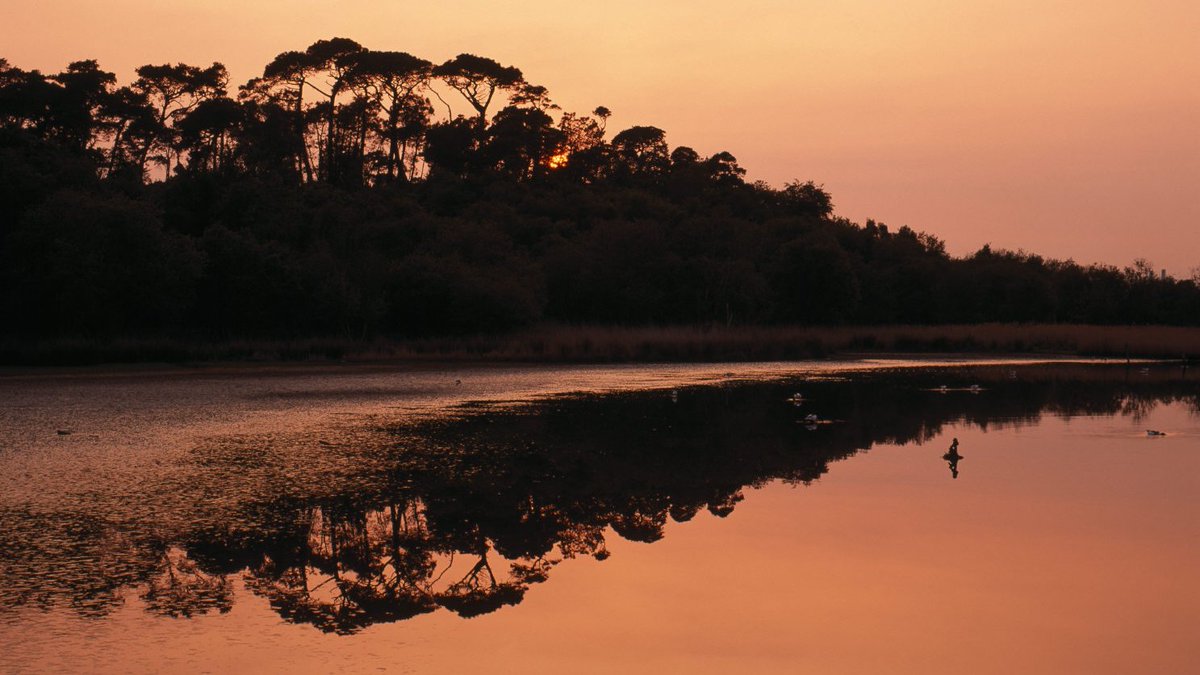 A reflective moment as the sun sets, casting a golden glow over Brownsea, reminding us of the quiet beauty that nature can help bring about. ​
​
Where's your favourite place to stop and relax in the outdoors?​

 #NationalTrustSouthWest #BrownseaIsland #SunsetReflections