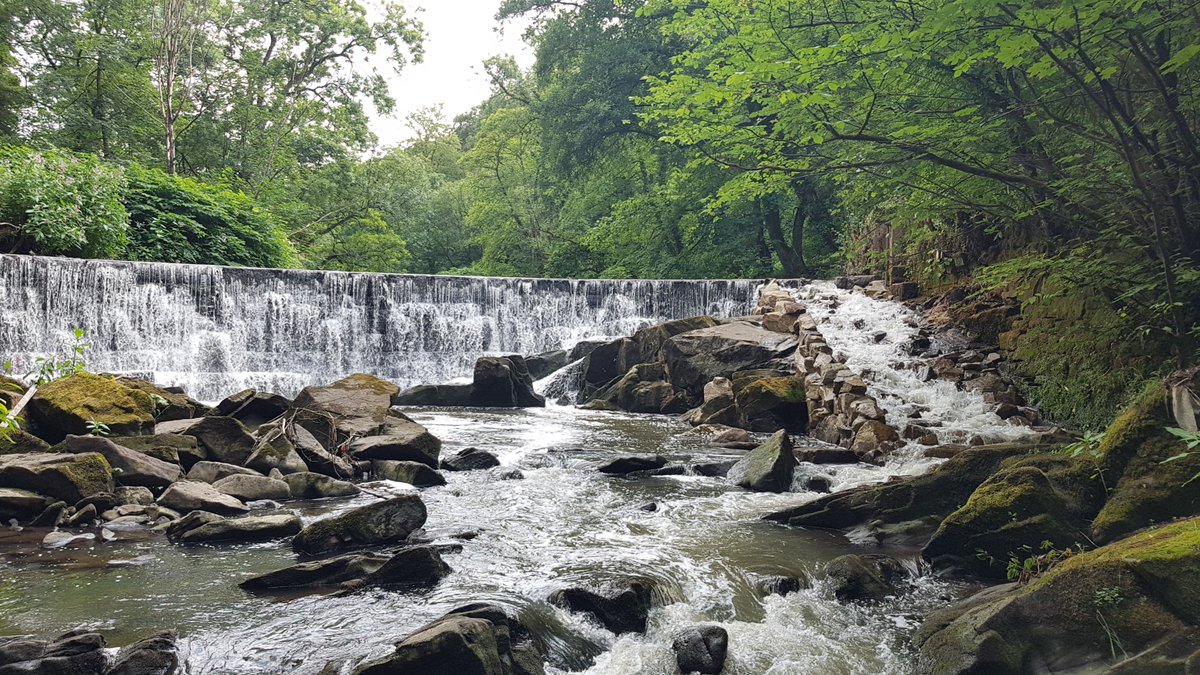 Next weekend, we will be supporting the residents of #HoghtonBottoms with their annual litter pick along the #RiverDarwen. Sunday 21st April, 10am-12.30pm. For more details and to book your place, visit: tickettailor.com/events/ribbler…