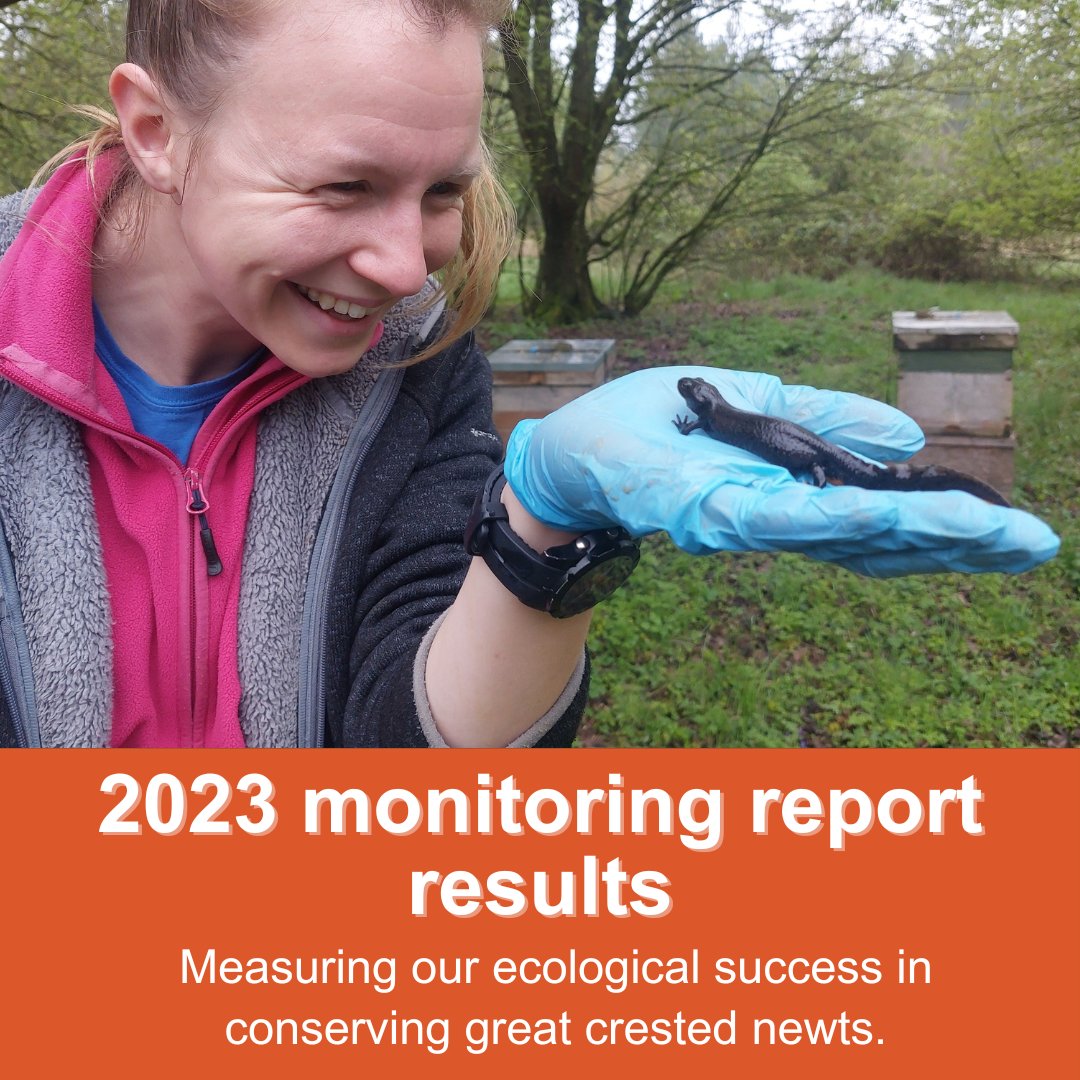 Our 2023 monitoring report is based on habitats we’ve created or restored between 2019 and 2023. 👇 Annual monitoring is vital for understanding and measuring our ecological success in conserving great crested newts. Read the full report: bit.ly/GCNreport2023