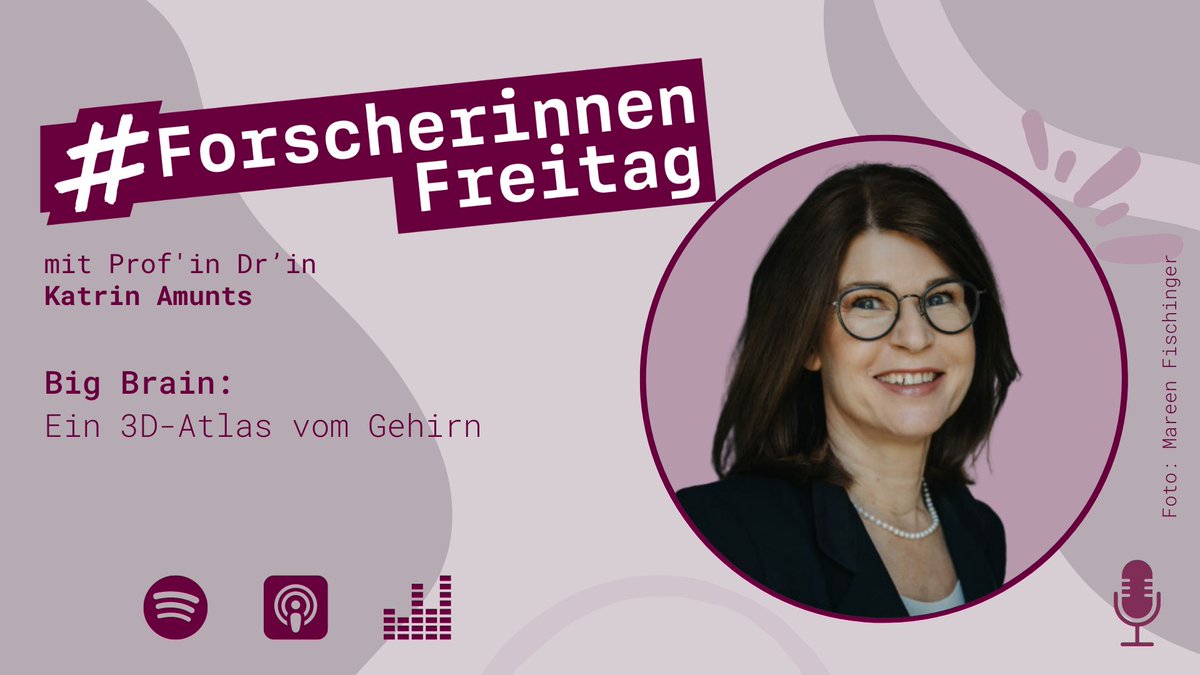 Ein digitaler #Gehirn-Atlas? Wie sieht sowas aus? Wie groß ist da wohl die Datenmenge? Und wofür kann man ihn einsetzen? Heute startet #Podcast-Staffel 5 von #ForscherinnenFreitag mit Prof'in Dr'in Katrin Amunts! innovative-frauen.de/podcast/katrin… #InnovativeFrauen #Hirnforschung