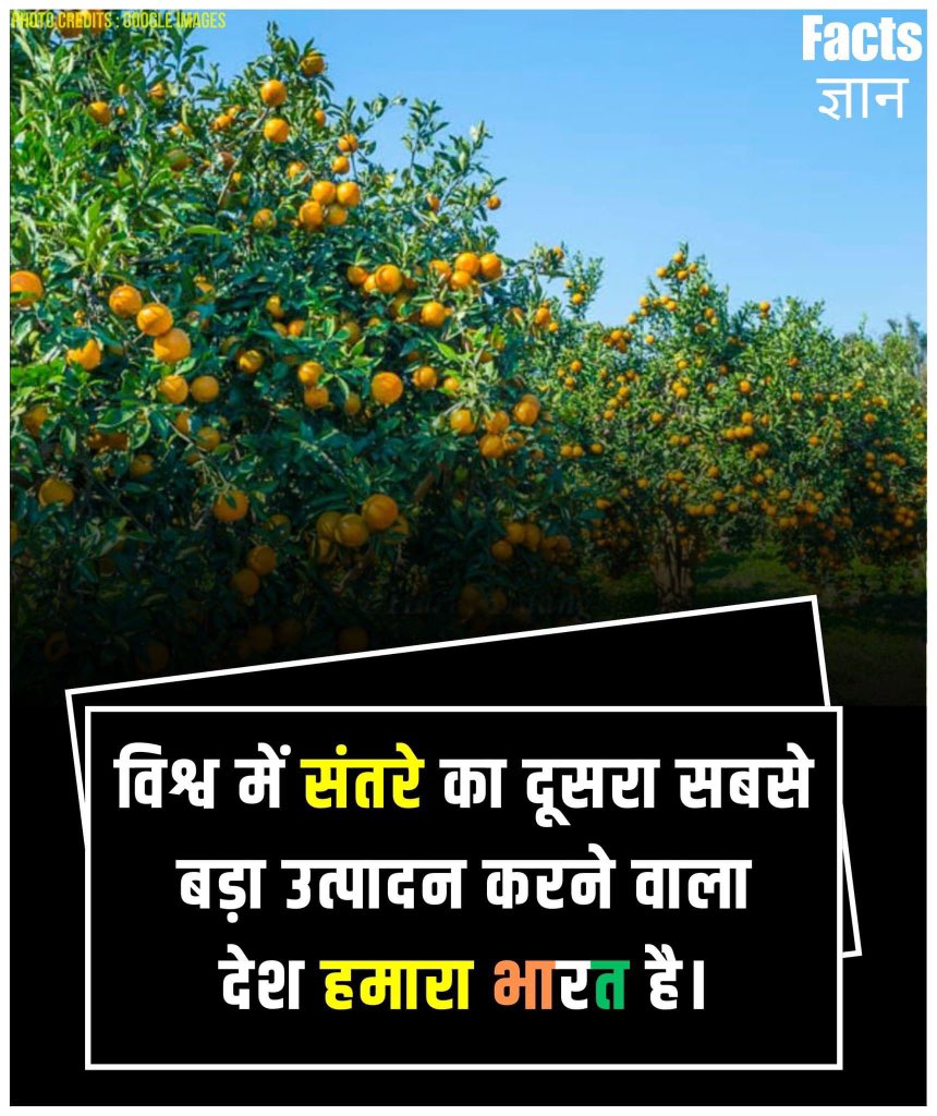 विश्व में संतरे का दूसरा सबसे बड़ा उत्पादन करने वाला देश हमारा भारत है, पहला स्थान चीन का है
#gkinhindi
#facts
#facebookpost #orangecounty #orange #oranges #orangejuice #fruits #fruitsalad