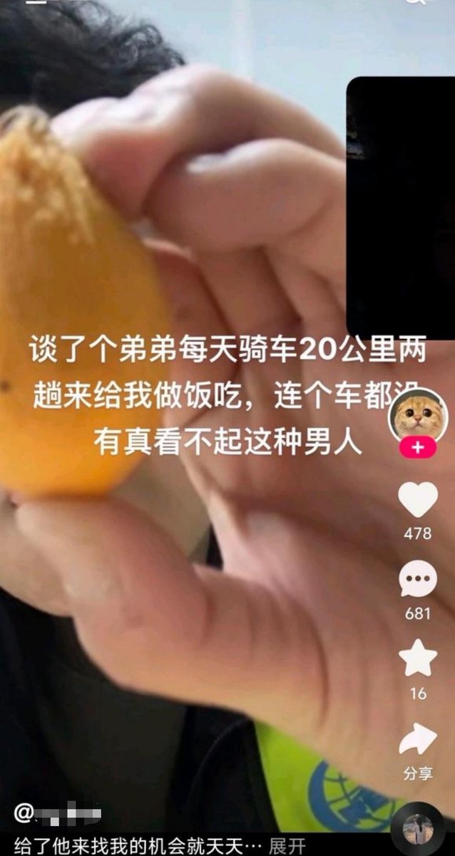 大漠孤鹰⛓ tweet media