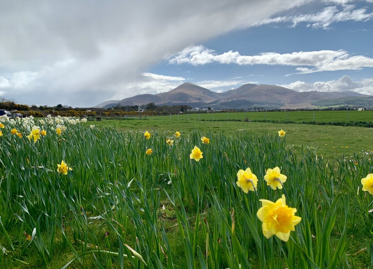 I’ve decided to give up on the weather and name this this line after my aunt - Just Peggy 👌 @bbcniweather @WeatherCee @angie_weather @barrabest @WeatherAisling @UTVNews @bbcweather @Mournelive @Louise_utv