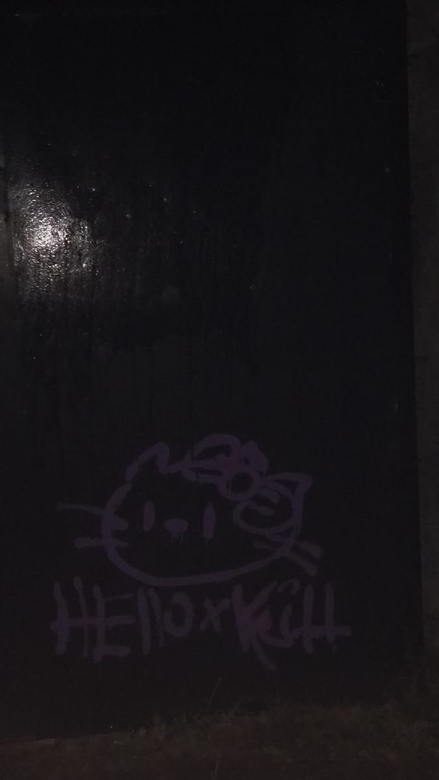 -🐈‍⬛
