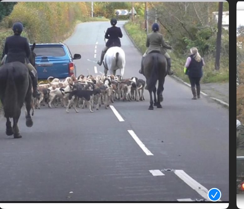 Gob smacked at the Cumbria rural teams latest campaign-about dogs running loose in Cumbria- it needs sorting -BUT it does not mention -6 fell packs of hounds often (40+). Hunting free & wild in Cumbria 2/3/4 times a week. A recent event showed hounds amongst expectant ewes. Why❓
