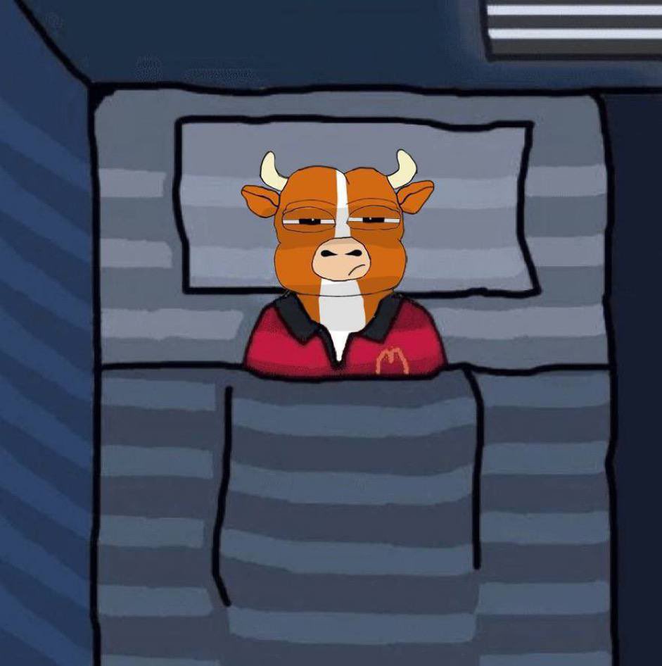 goodnight bulls 😴