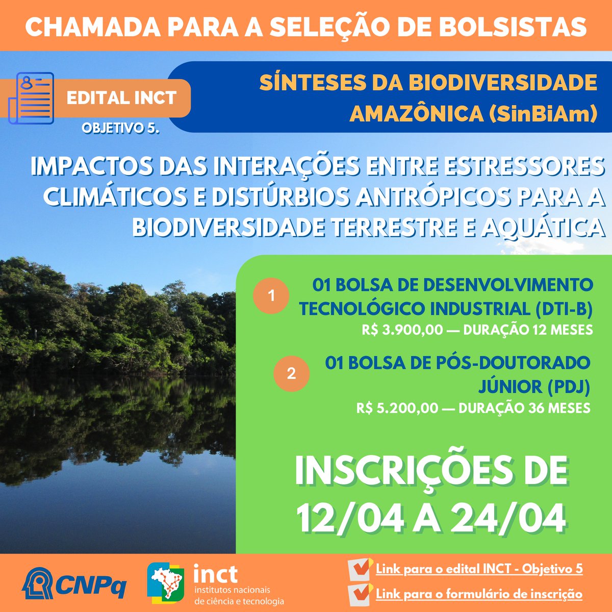 ‼️Duas bolsas, RT por favor 📷O #INCT - Sínteses da Biodiversidade Amazônica (SinBiAm) abriu edital p/ seleção de 2 bolsistas c/ duração de até 36 meses. Detalhes do edital e do formulário para inscrição no folder abaixo