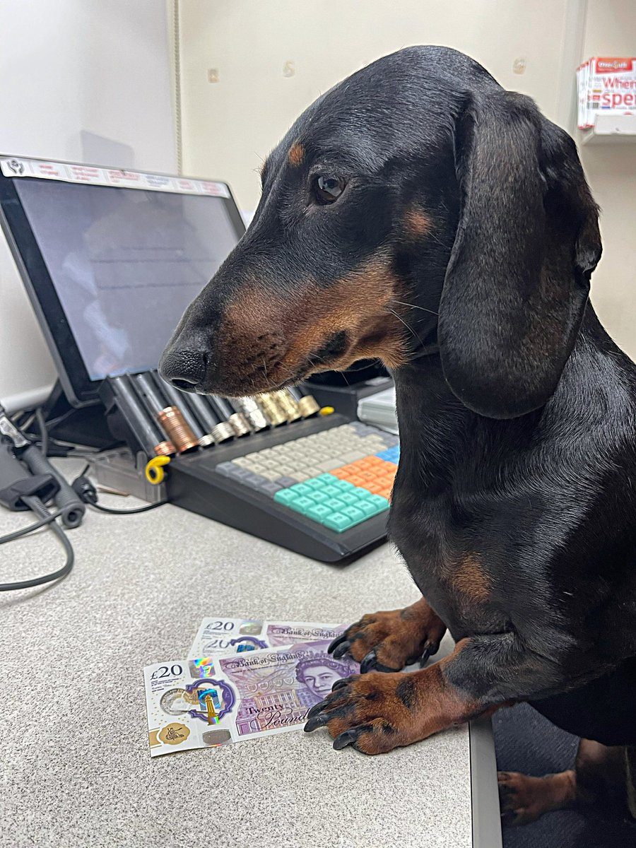 Thank Frankie it’s Friday 🐾

Post Office & card shop OPEN 
9am to 5.30pm offering a full range of Post Office services including free cash withdrawals and possibly Shrewsbury’s best selection of greeting cards…

#postoffice #Dachshund #shrewsbury #cardshop #abbeyforegate #free