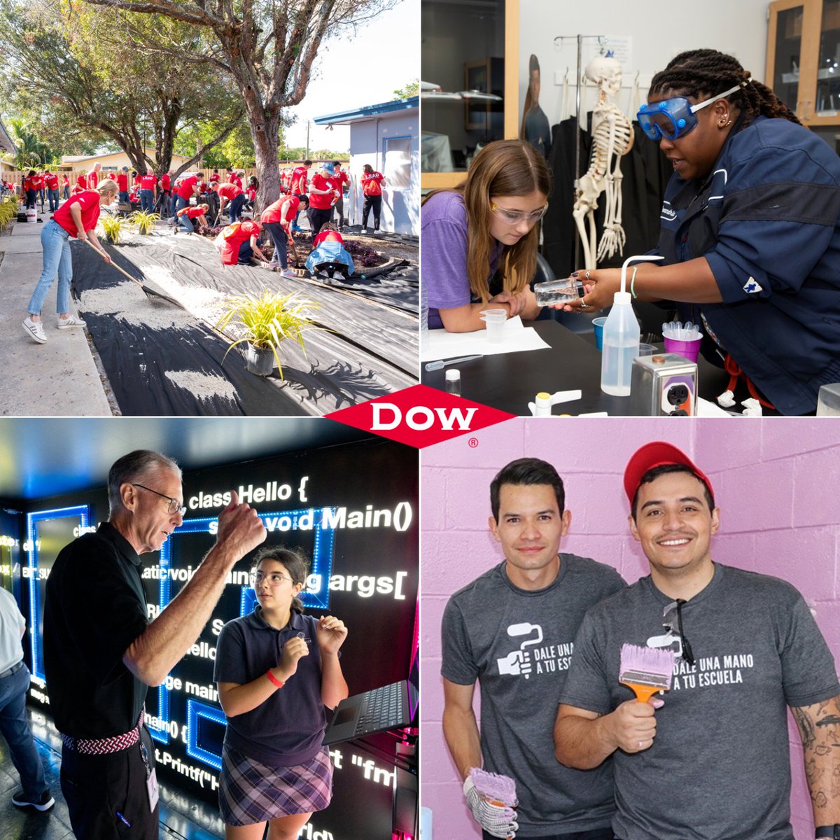 It’s #VolunteerMonth, and I’m proud to say that I and over half of my #TeamDow colleagues #volunteer to help make a difference in our communities. 

How do you choose to give back?