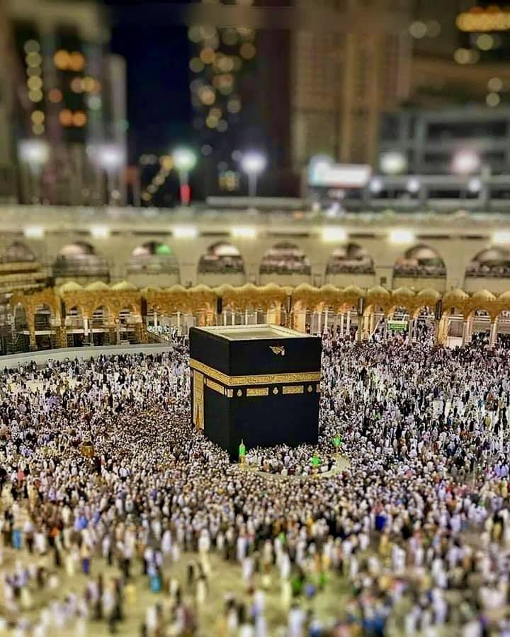 Dua 🤲 #JummaMubarak 🌹 
'O, Allah! protect me with Your mercy 
and make my tongue remember You without ceasing and my heart enthralled by Your love, and be gracious to me by answering me favourably, and nullify my slips and forgive my lapses!'
Dua Kumayl.