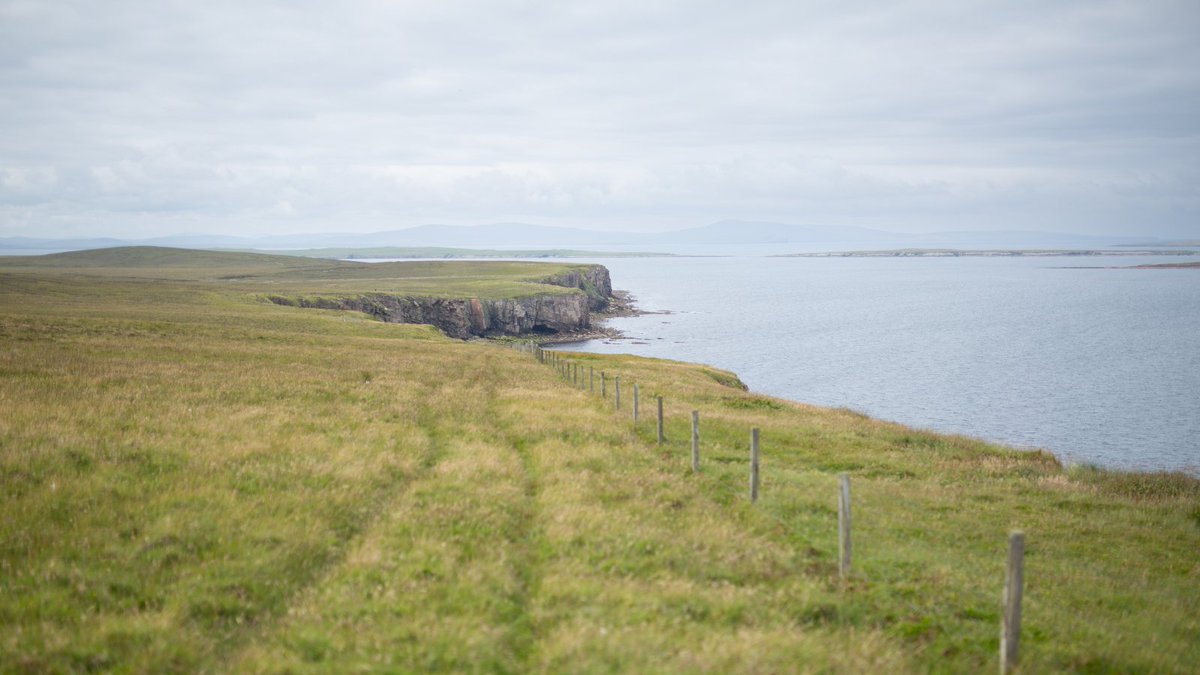 Pull on your walking boots and explore Eday, an #Orkney island full of history, heritage and wonderful wildlife 🥾 🤩 View our guide ➡️ bit.ly/EdayHeritageWa… #VisitOrkney #ScotlandIsCalling