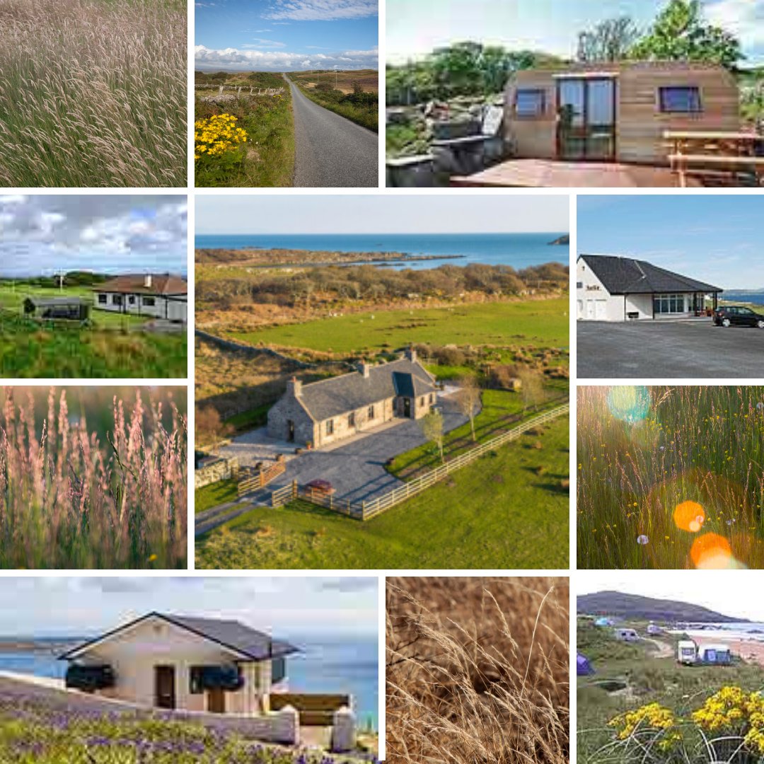 Visit our website for a one-stop shop for everything you need to know. Our website covers activities, events, maps, walks, a beach guide, accommodation availability and more. islayinfo.com #Islay #VisitScotland #Scotland